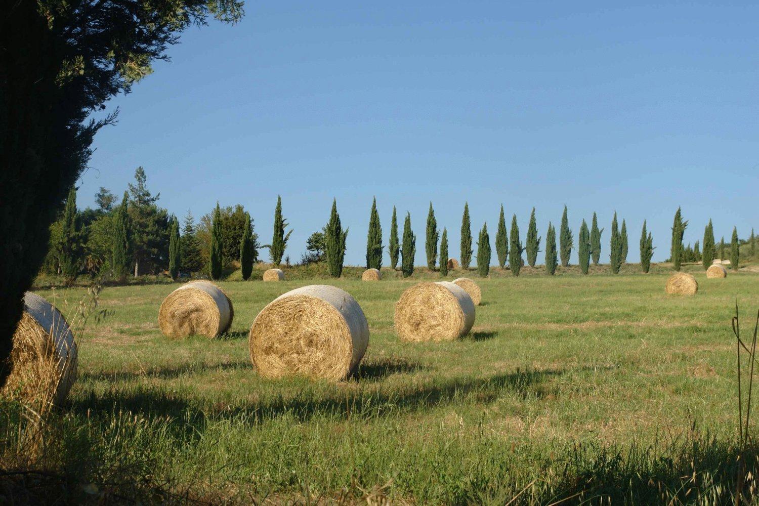 Tenuta Il Tresto Poggibonsi Exterior foto