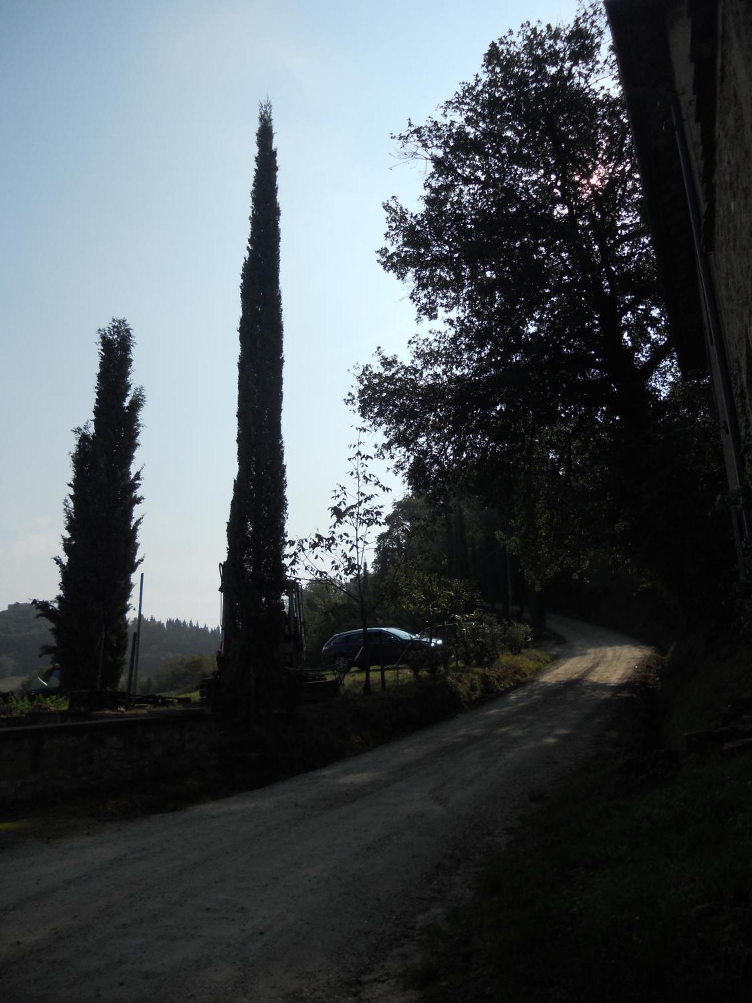 Tenuta Il Tresto Poggibonsi Exterior foto