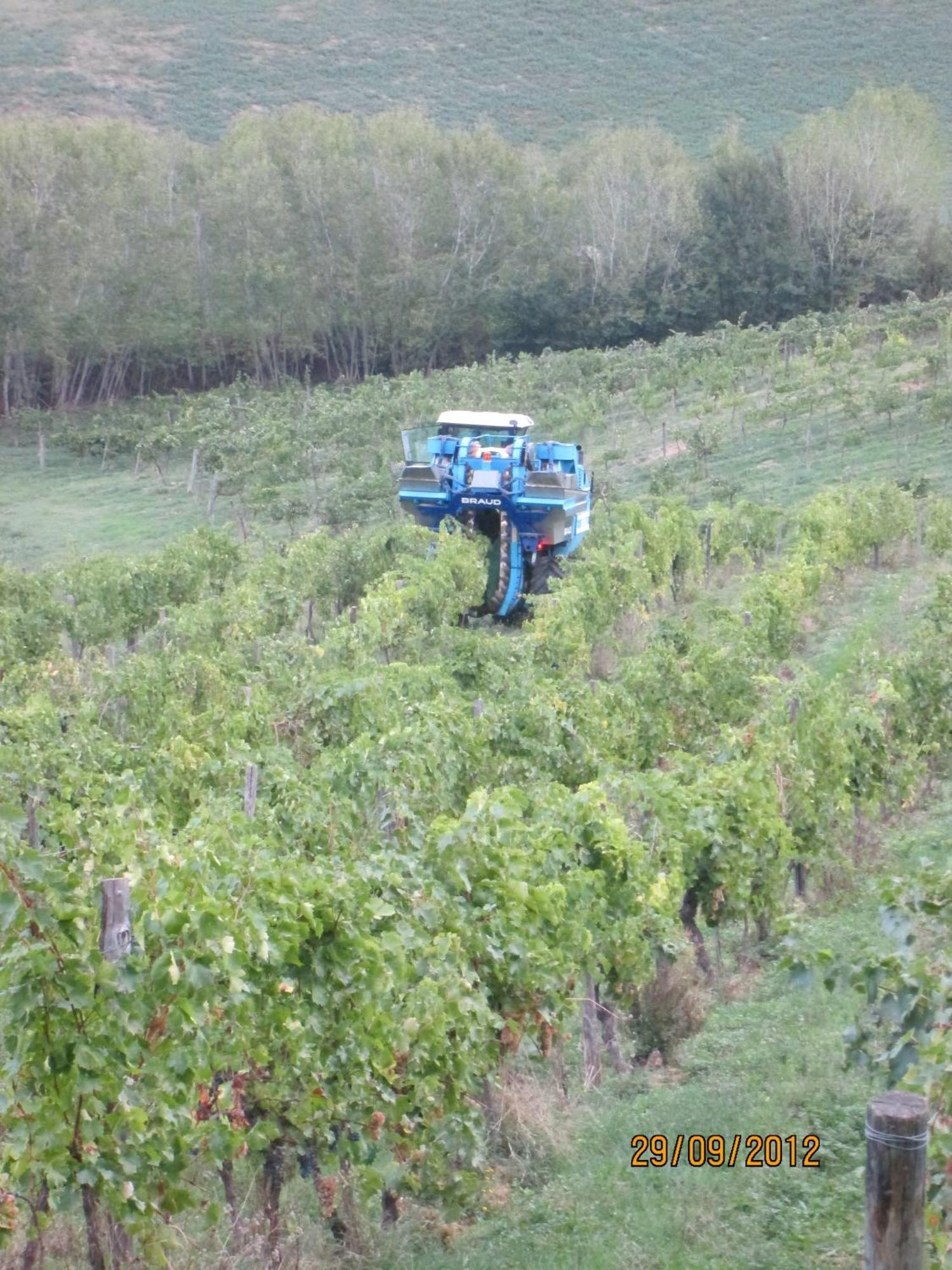 Tenuta Il Tresto Poggibonsi Exterior foto