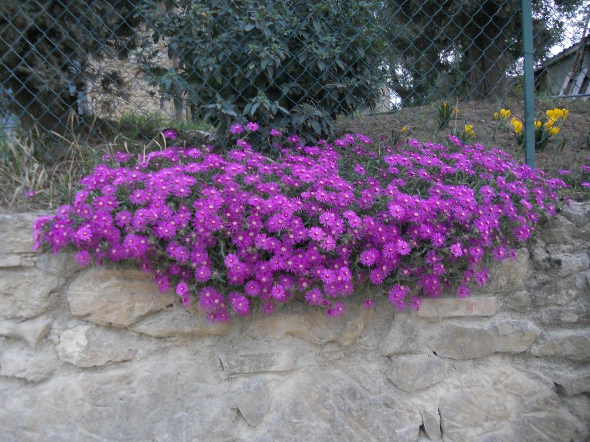Tenuta Il Tresto Poggibonsi Exterior foto