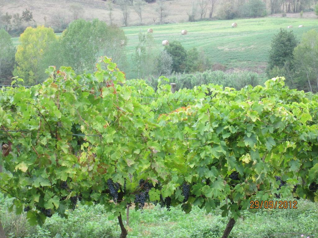 Tenuta Il Tresto Poggibonsi Exterior foto