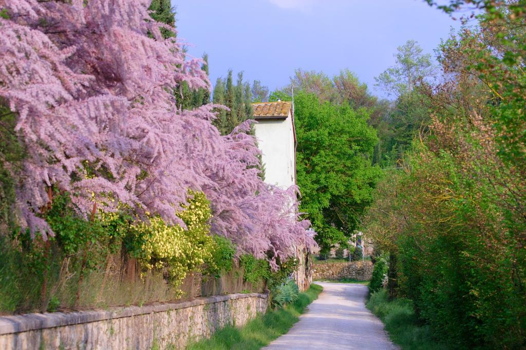 Tenuta Il Tresto Poggibonsi Exterior foto