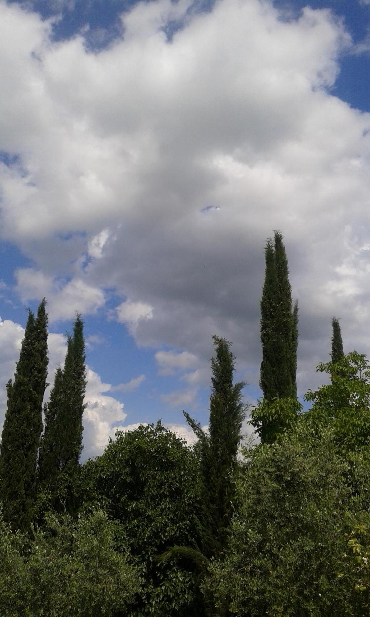 Tenuta Il Tresto Poggibonsi Exterior foto